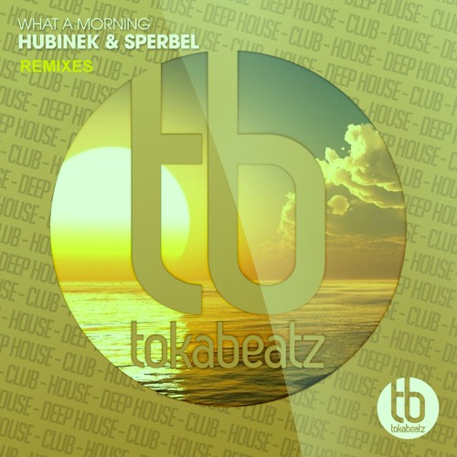 Hubinek & Sperbel - What A Morning (Jaques Raupé Remix)
