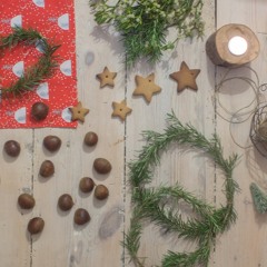 Winter | Seeds and Stitches