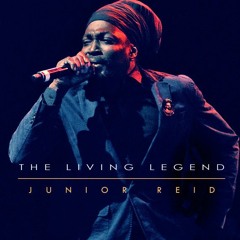 Junior Reid Feat Julian Marley - Never Too Rough
