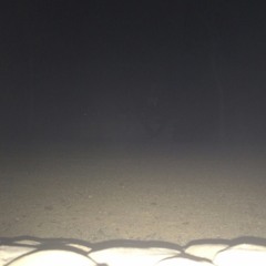 Skor & Jamelgo - AVAROS