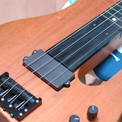Piccolo Fretless Bass