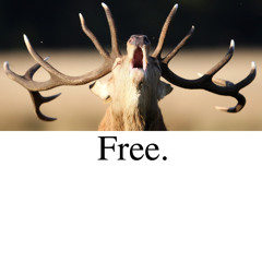 Free.