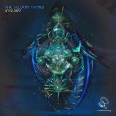 The Seldom Named - Limb (Conduit Remix)