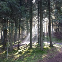 Orgelkoral over "Dejlig er jorden"
