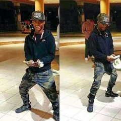 Steve-o's music
