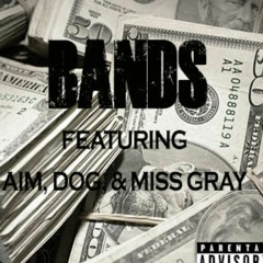 (BANDS)A.I.M., Dog, & Miss Gray -Band