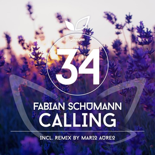 Fabian Schumann - Calling (Original)_snip