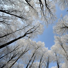 Techtonics 055 by PowTron (LIVE @ First Frost) - 11/4/15