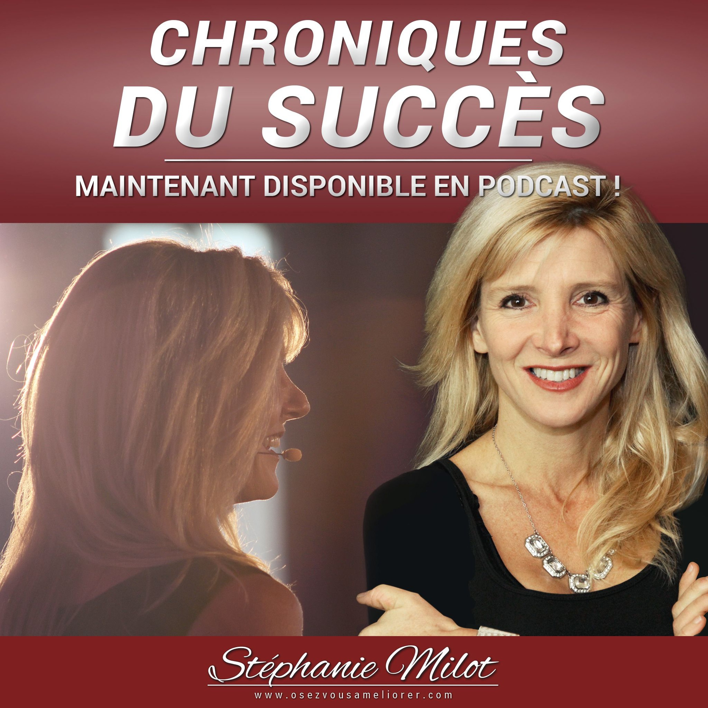 Les Chroniques du Succès
