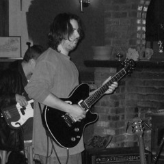 ZOO- Negative Feedback