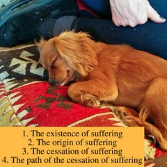 rent boy (brandon devries cover)