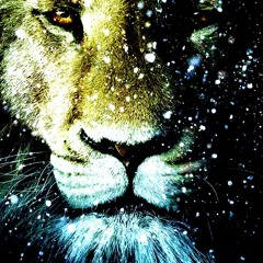 Z-RED - The Lion (Original mix)