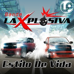 Estilo De Vida