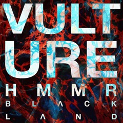 Black Land - Vulture HMMR