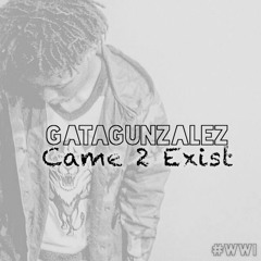 GataGunzalez - Came 2 Exist