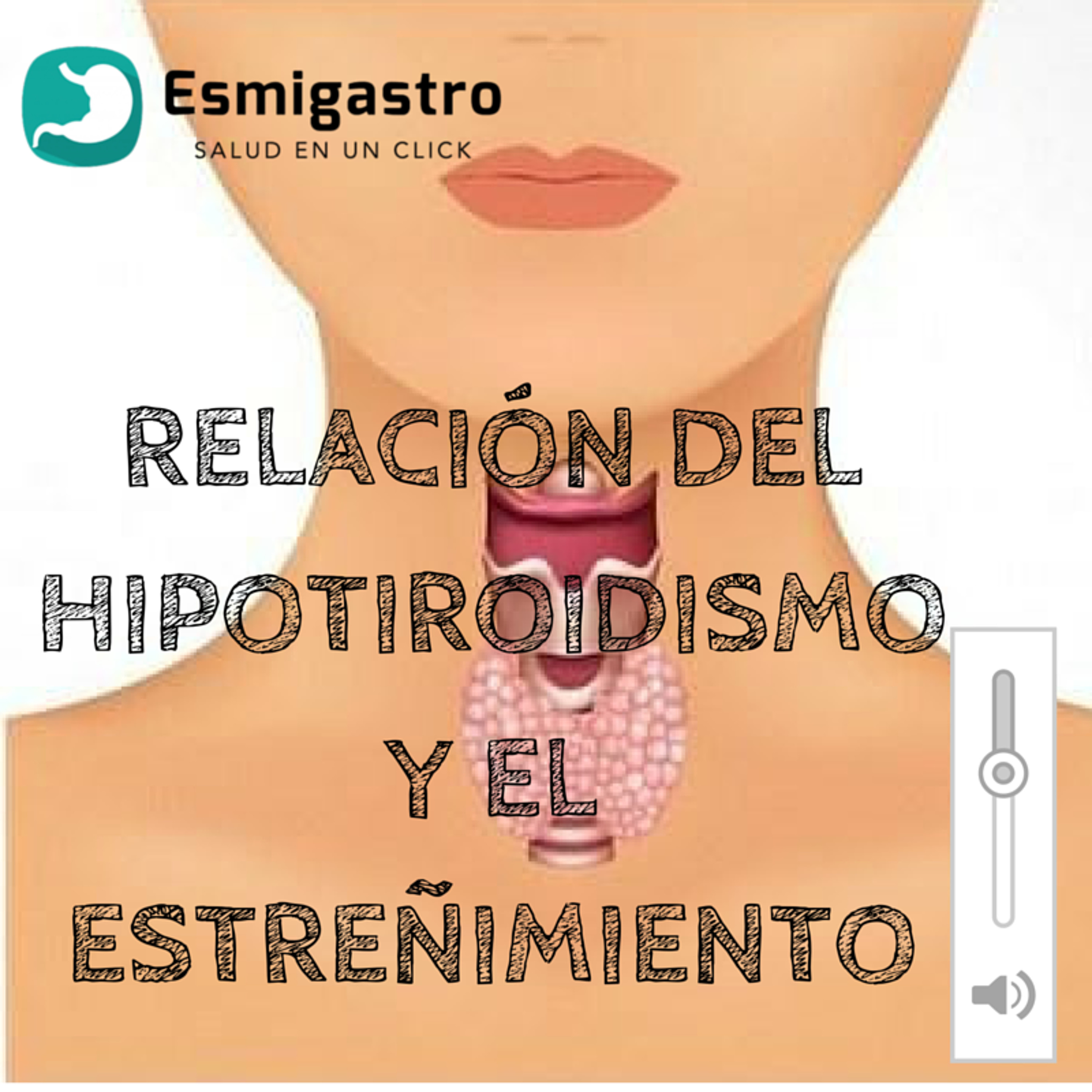 Relación del hipotiroidismo y el estreñimiento episode artwork