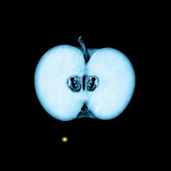 SEV - DYING F3Tus [beat for sale]