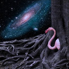 Galactic - Does It Really Make A Difference feat. Mavis Staples (Gringo Flamingo Remix)