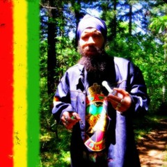 D.S.R. Feat. Sennid (Guitar Solo) Dub Down The Wikkid (Chant Down The Wikkid Rhythm) (D.S.R.)