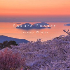 Sakura Sunset