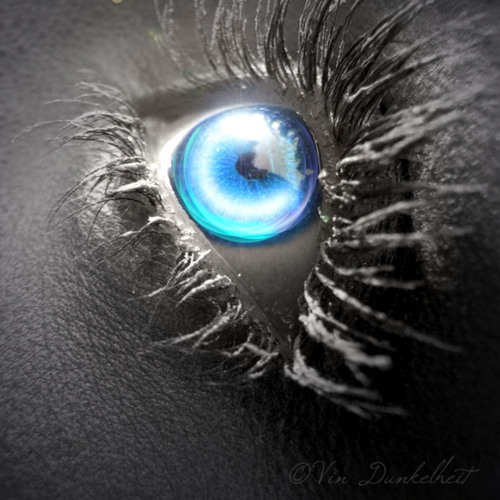 Night Elf Eye