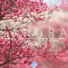 Wisp X - Sakura