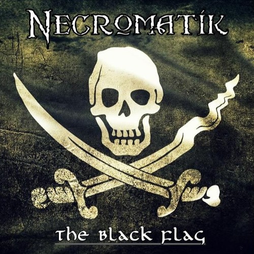 The Black Flag [THEY MADE US PIRATES]