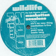 The Bob Bhamra Project ‎– Manhattan b-line