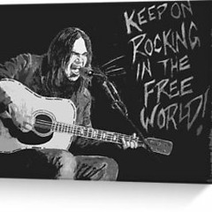 Keep on Rockin in the Free World (Neil Young)