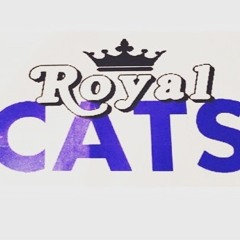 CIA Royal Cats Sr. Coed 5