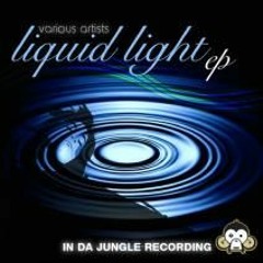 No Measure (IDJREC085 V/A - Liquid Light EP)