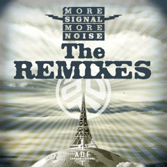 SIGNAL AND THE NOISE (Sound Avtar Remix)