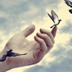 Lien - Libertad Y Verdad