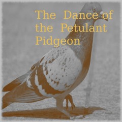 The Dance of the Petulant Pidgeon