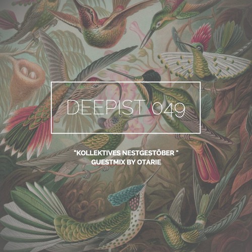 Deepist Podcast 049 Kollektives Nestgestöber // Guestmix by Otarie