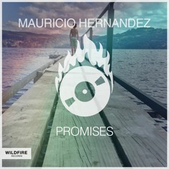 Mauricio Hernandez - Promises
