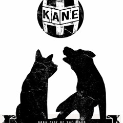 2.3 Crié cuervos y me sacaron los ojos - (Kane Ft. D Z N - AL En El Instrumental)