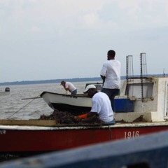 Oysterman Blues        Apalachicola Bay FL