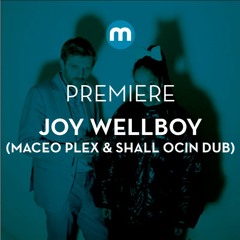 Premiere: Joy Wellboy 'The Magic' (Maceo Plex & Shall Ocin Dub)