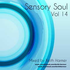 Sensory Soul Volume 14 - Keith Harmer