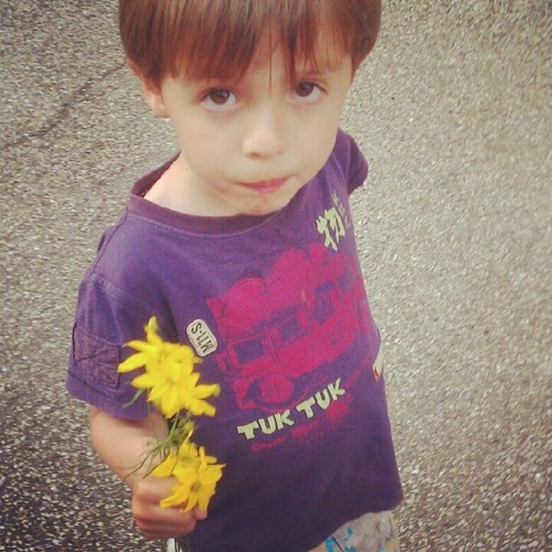 Des Fleurs [early mix]