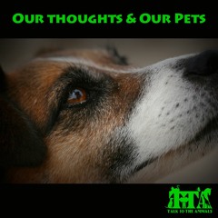 Our Thoughts And Our Pets