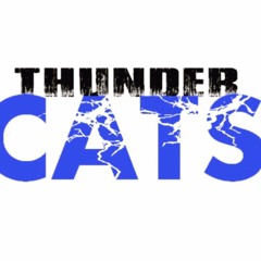 CIA -Thunder Cats Sr. Coed 4