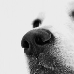 Warm blizzarD 2015 F/W