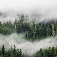 pLtk – Looped Landscape 02