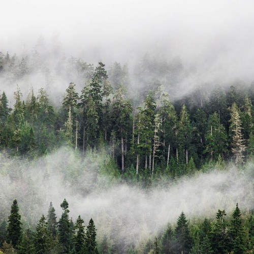 pLtk – Looped Landscape 02