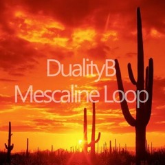 DualityB - Mescaline Loop