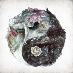 This is Christopher Bono