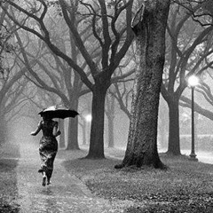 Late Night Rendez-Vous