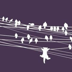 Ambition As A Ozelot